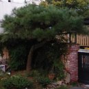 누리마당민박 이미지