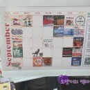 청강 | [🍁] 토론토 어학원 청강 후기(Quest, Hansa, RCIIS)