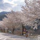 물한계곡 소나무펜션 이미지