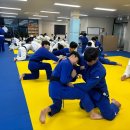 공명 유도 주짓수 이미지