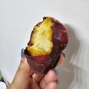 해동양품 이미지