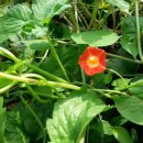 상연농장 이미지