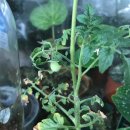 상혁농장 이미지