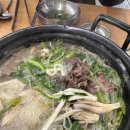 등촌샤브칼국수 티스토리