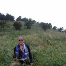 꽃마을로 이미지