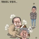 개통령 이미지