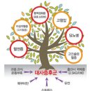 탑클래스그룹피티