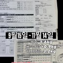 개금메디칼빌딩 | 개금 헬스 PT 추천｜전·후 인바디 변화로 증명된 다이어트 PT 후기 여자 트레이너 추천