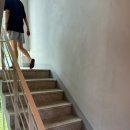 베니베럼 이미지