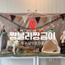 짱블리 짱금이 이미지