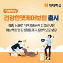 현대종합펫