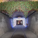 고모산성(오미자 테마터널) 이미지