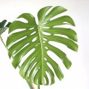 성채농원 이미지