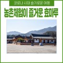 효마루농촌체험휴양마을 이미지