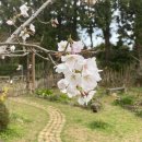 목련민박 이미지