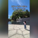 [공지] 삼척 실내 볼거리 이사부독도기념관 실감 미디어 영상