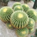 (주)소셜원 이미지