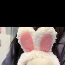 쏘큐트 펫살롱 이미지