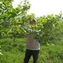 자연 농원 이미지