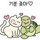 AC호텔 바이메리어트 서울강남 이미지