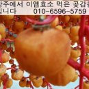 한국생산성본부연수원 이미지