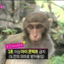 핑킹클럽 이미지