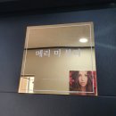 메리미에스테틱 이미지