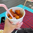초록마을(과천점) | 서울대공원 동물원 돗자리 명당 피크닉 명소 꿀팁 도시락 지도