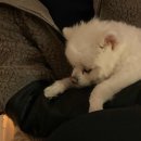 백송다방 이미지