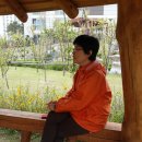 우경약국 이미지