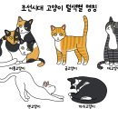 고양이 별 이미지