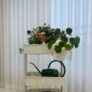 클린엔 | 틔운미니 클린팟 후기, 세척은 식기세척기로