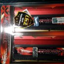 [판매완료] 10만원/ DDR3 16G 램 팔아요. G.skill Trident X (8g X 2) 이미지