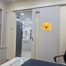 연향동물병원 네이버블로그