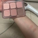 가좌1-05-008 | 클리오 뮤즈 마스터 팔레트 05 로즈프리셋 발색 후기