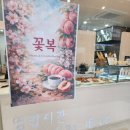 트라디시옹 | 피브완 [ 대전 사과쏘숑 도룡동 대전 바게뜨트라디시옹 전문점 ]