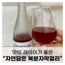 국순당 자연담은 복분자막걸리 맛/ 리뷰/ 페어링