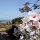 무릉1공원 이미지