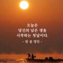 9월 11일 수요일 날씨정보 (입영 17일차) 이미지