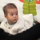 홈플러스 부산정관점 이미지