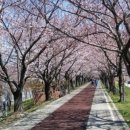 낙동강 자동차정비 이미지