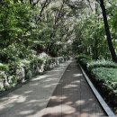 우장산 티스토리
