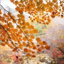 살아있는 글쓰기 이미지