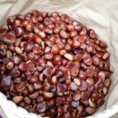 창우농장 이미지