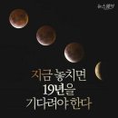 블루문 이미지