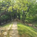 옥구2교 이미지