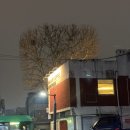 수원-1420 | 바스크치즈케이크 맛집 수원 행궁동 신상 카페 '쿠루루 커피 워크룸' 내돈내산 솔직후기