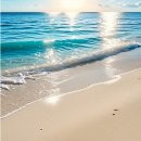 강원노인요양통합지원센터 이미지