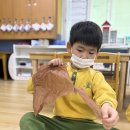 밝은✨퍼포먼스 미술🍂🍁🪾💛🧡 이미지