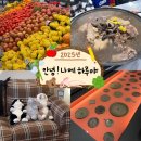CU 진천진달래공원점 | 25.05 - 1화 : 안녕! 나에 하루야